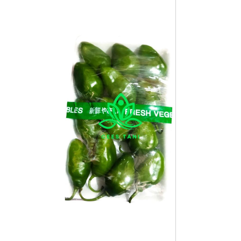 

Cabe gendot murah segar asli bandung dipetik langsung sebelum dipacking 250gr