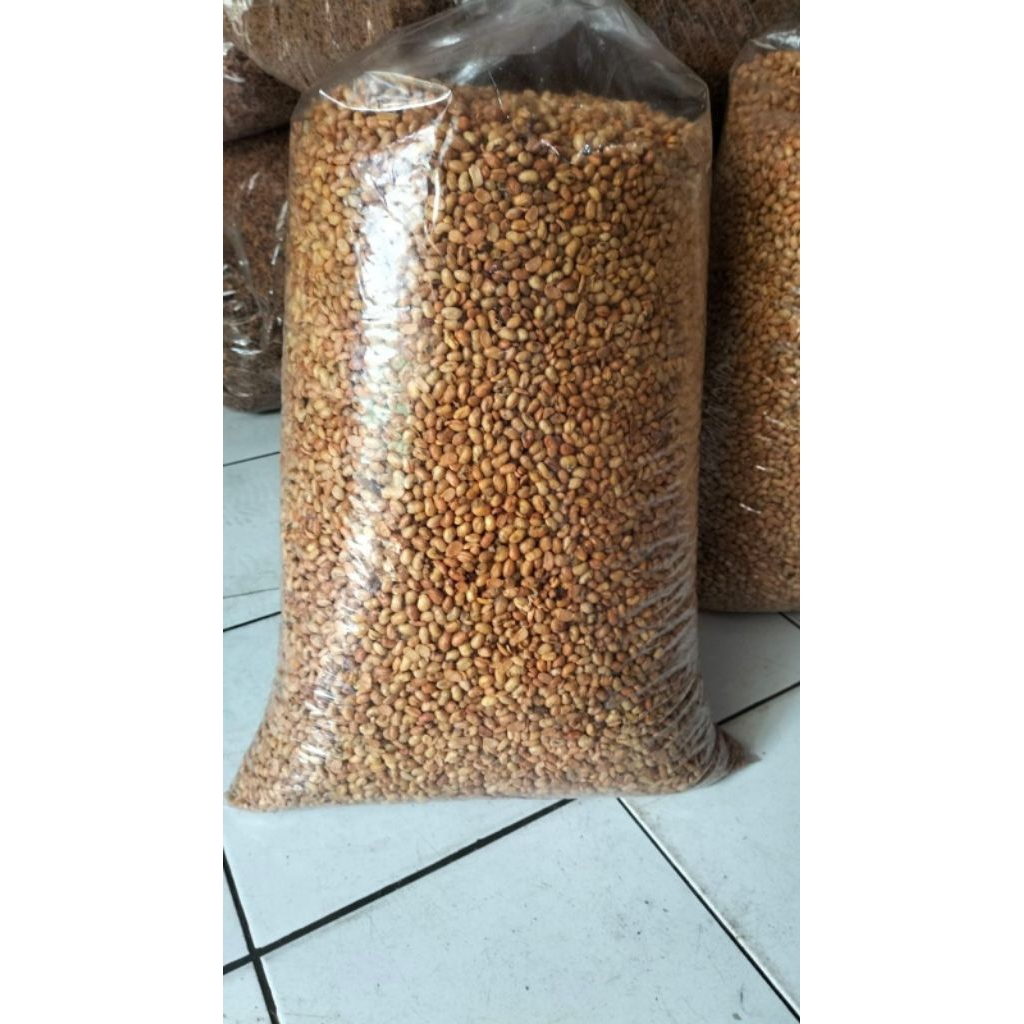 

kacang kedelai matang gurih renyah 1kg siap saji