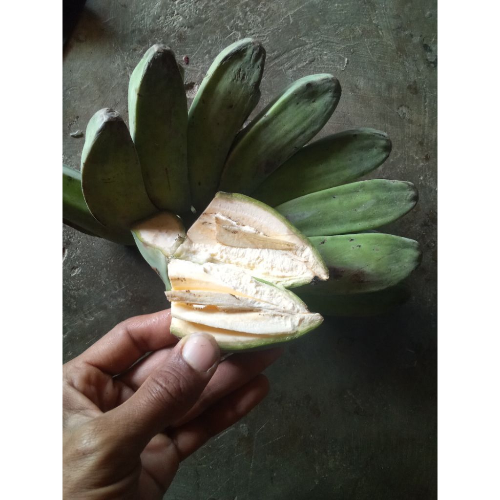 

pisang kepok kuning Cianjur per 1kg