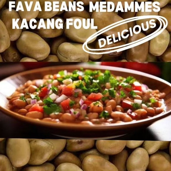 

KACANG FOUL FAVA BEANS KACANG MEDAMMES 1KG