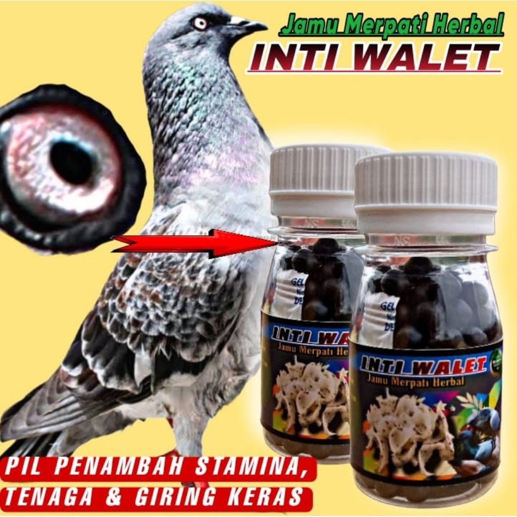 ISI 120 BUTIR INTI LIUR WALET PIL merpati cepat giring Keket keras dalam 1 hari_jamu extra ginseng t