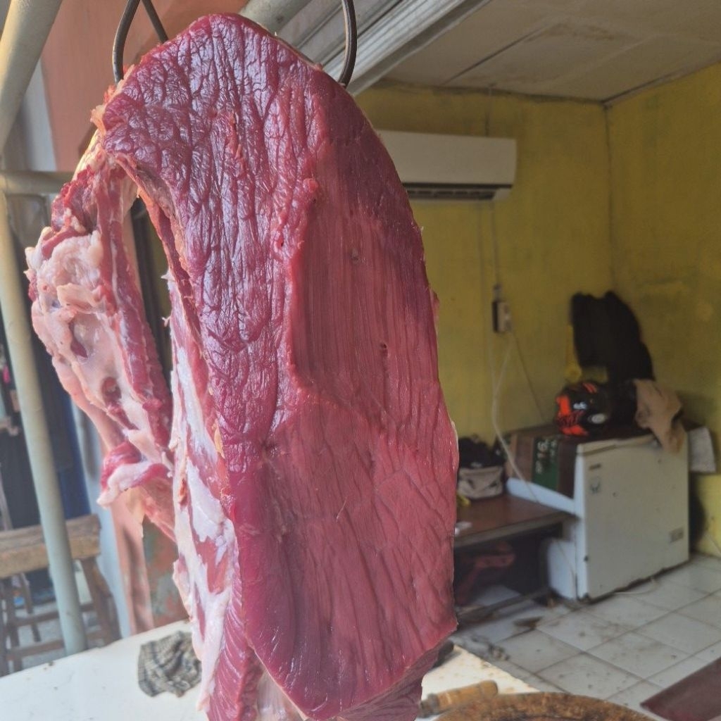 

Daging Sapi segar lokal