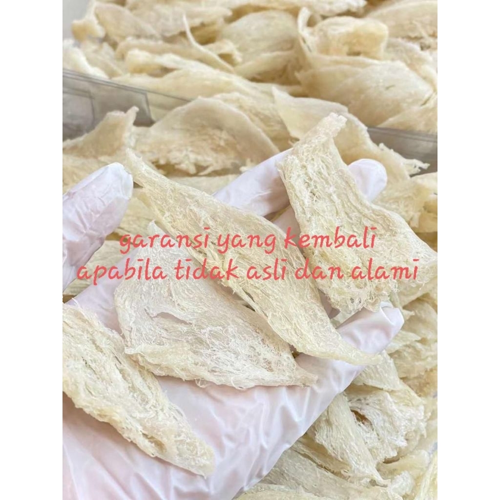 

Sarang Burung Walet Bersih Patahan Krem Natural 100 Gram