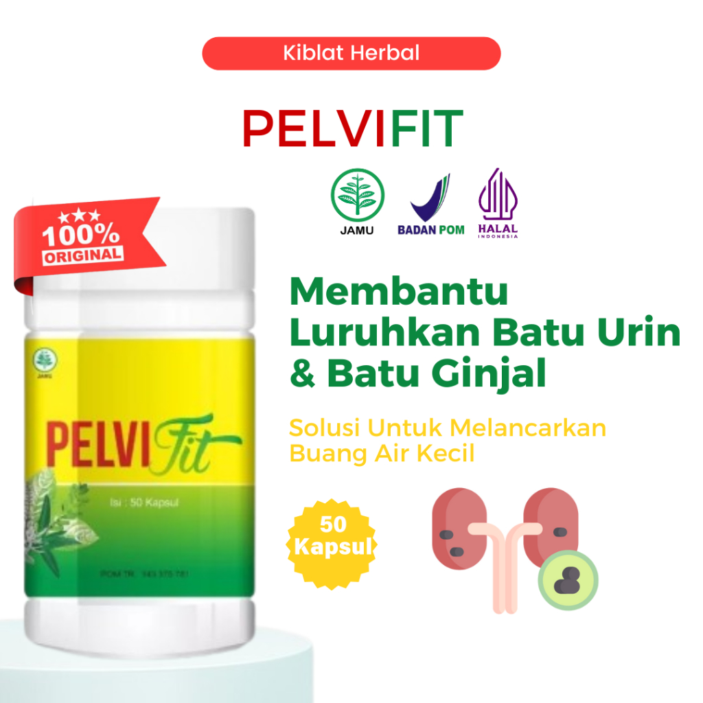 PELVIFIT Obat Herbal Batu Ginjal Batu Empedu Peluruh Batu Ginjal Melancarkan BAK - Naturafit BPOM