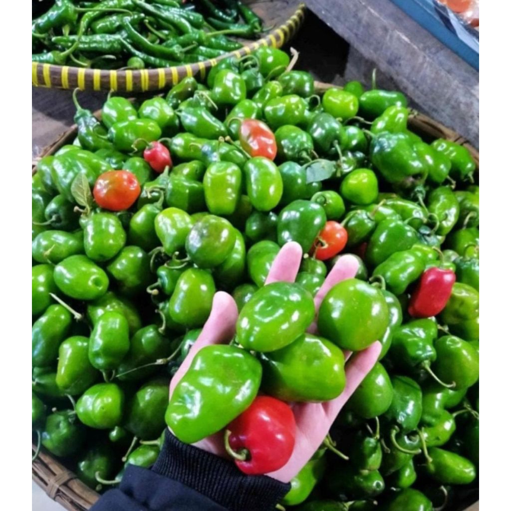 

cabe gendot fresh netto 500 GR dan 1000gr