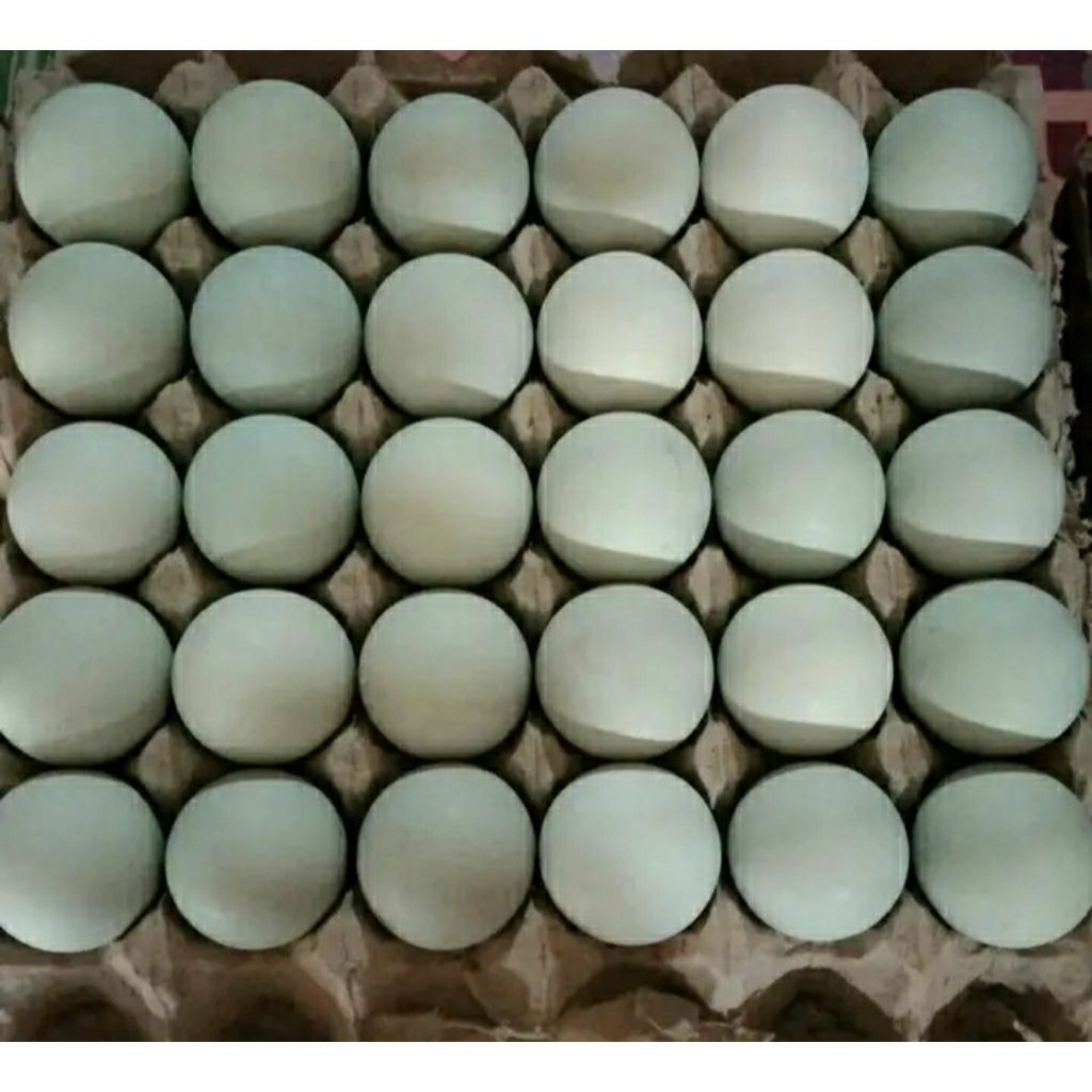 

Telur bebek Asin mentah dan matang