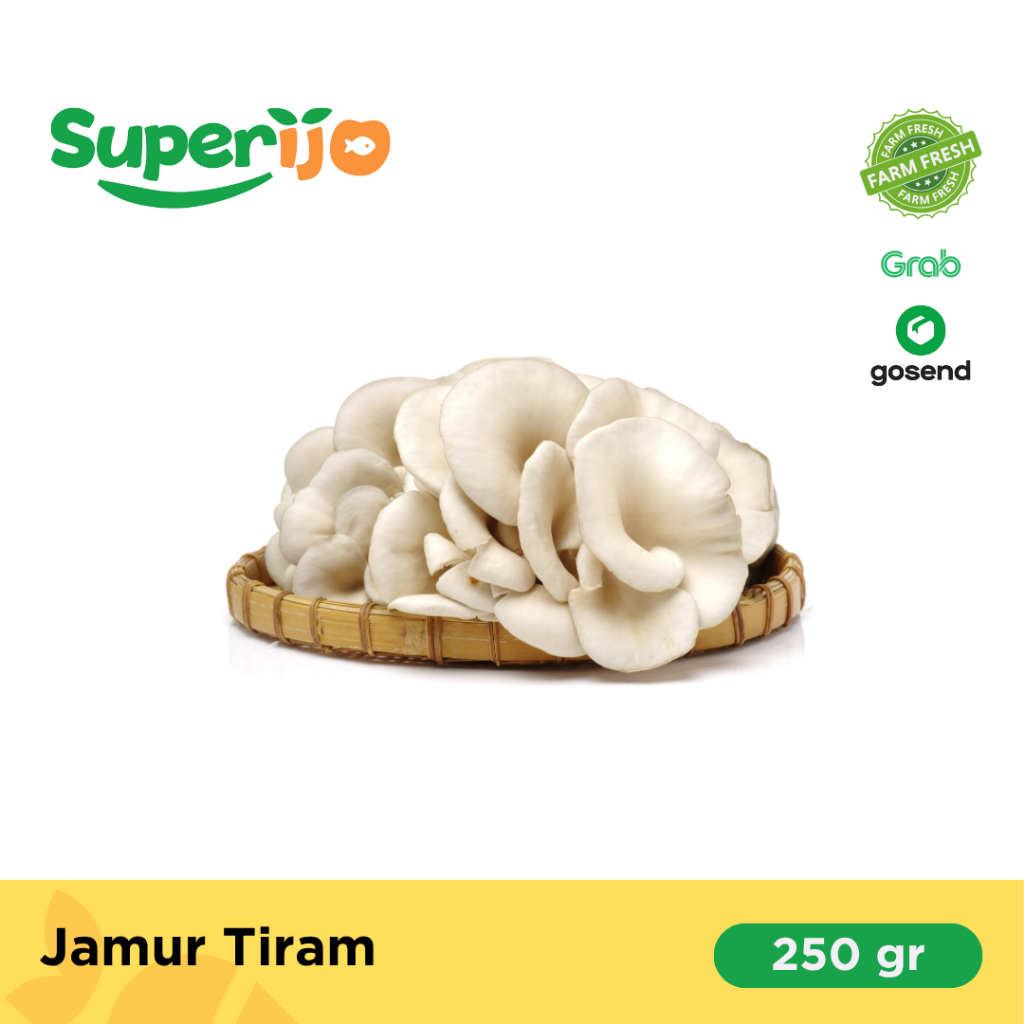 

Superijo Grosir Sayur Segar, Jamur Tiram Murah
