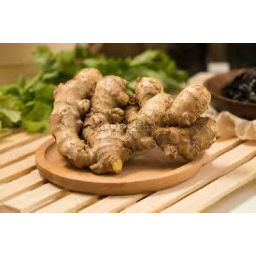 

JAHE SEGAR - 36 FRESH PALEMBANG