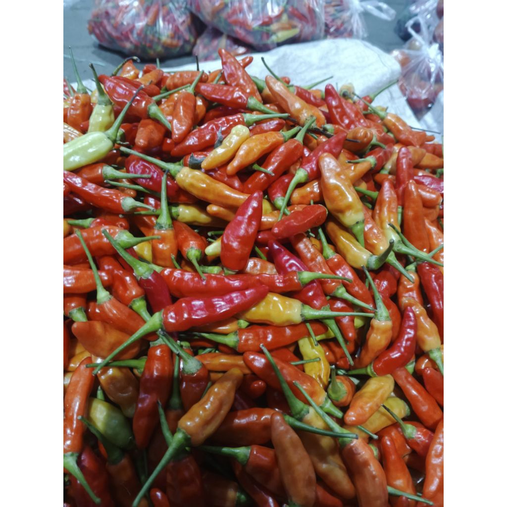 

Cabe Rawit Ori 500 gram