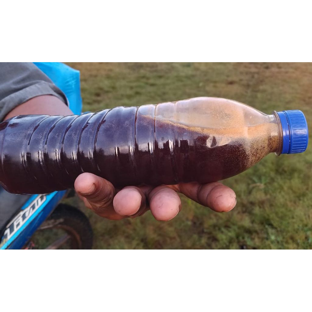 

madu liar asli hutan Sumatera