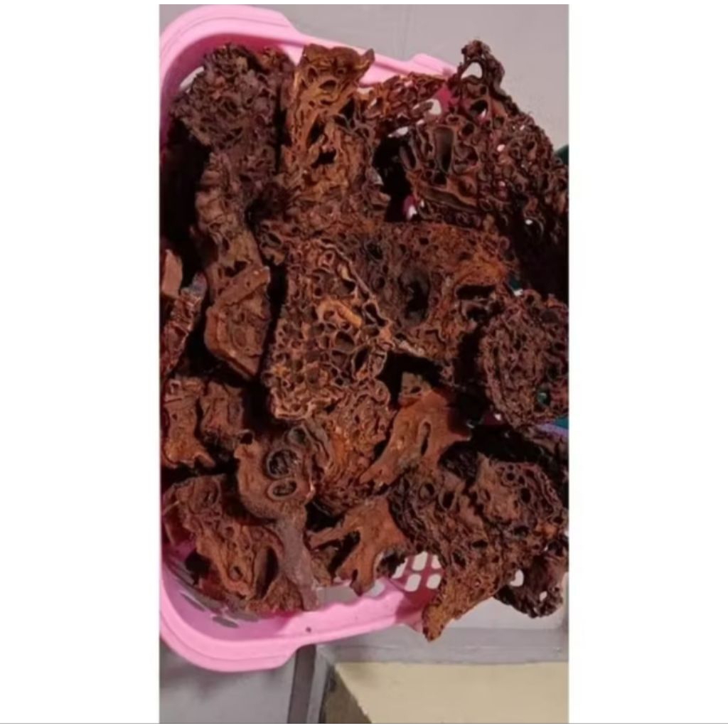 

Sarang semut kering asli Papua 100gram