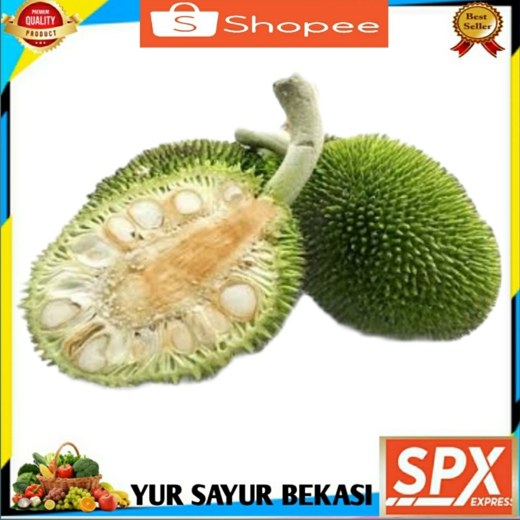 

Buah Timbul/Kluwih ( Per Biji).