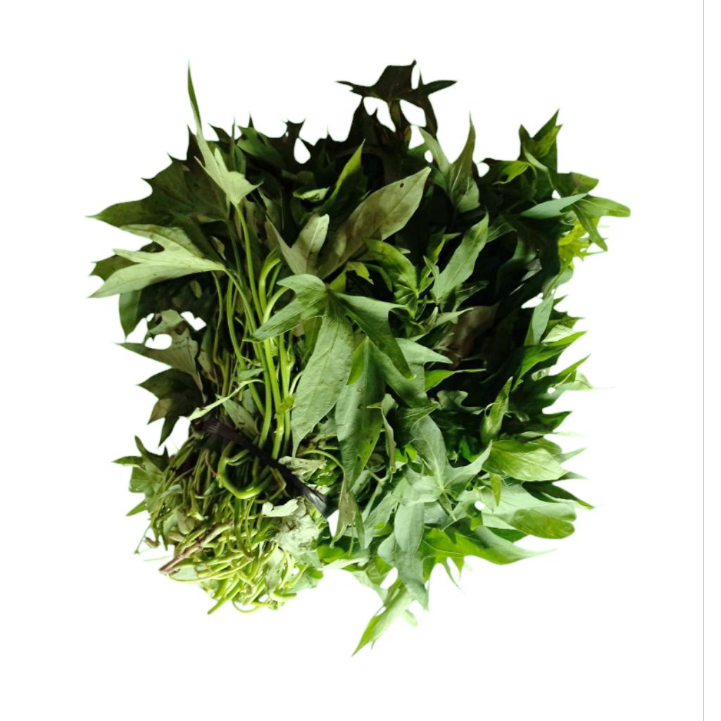 

daun ubi jalar/glandir/lengguk segar per ikat