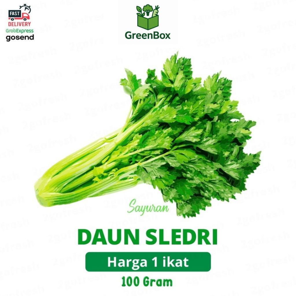 

Daun Sledri / Seledri / Celedri / Green Celery Fresh - Sayur Sayuran