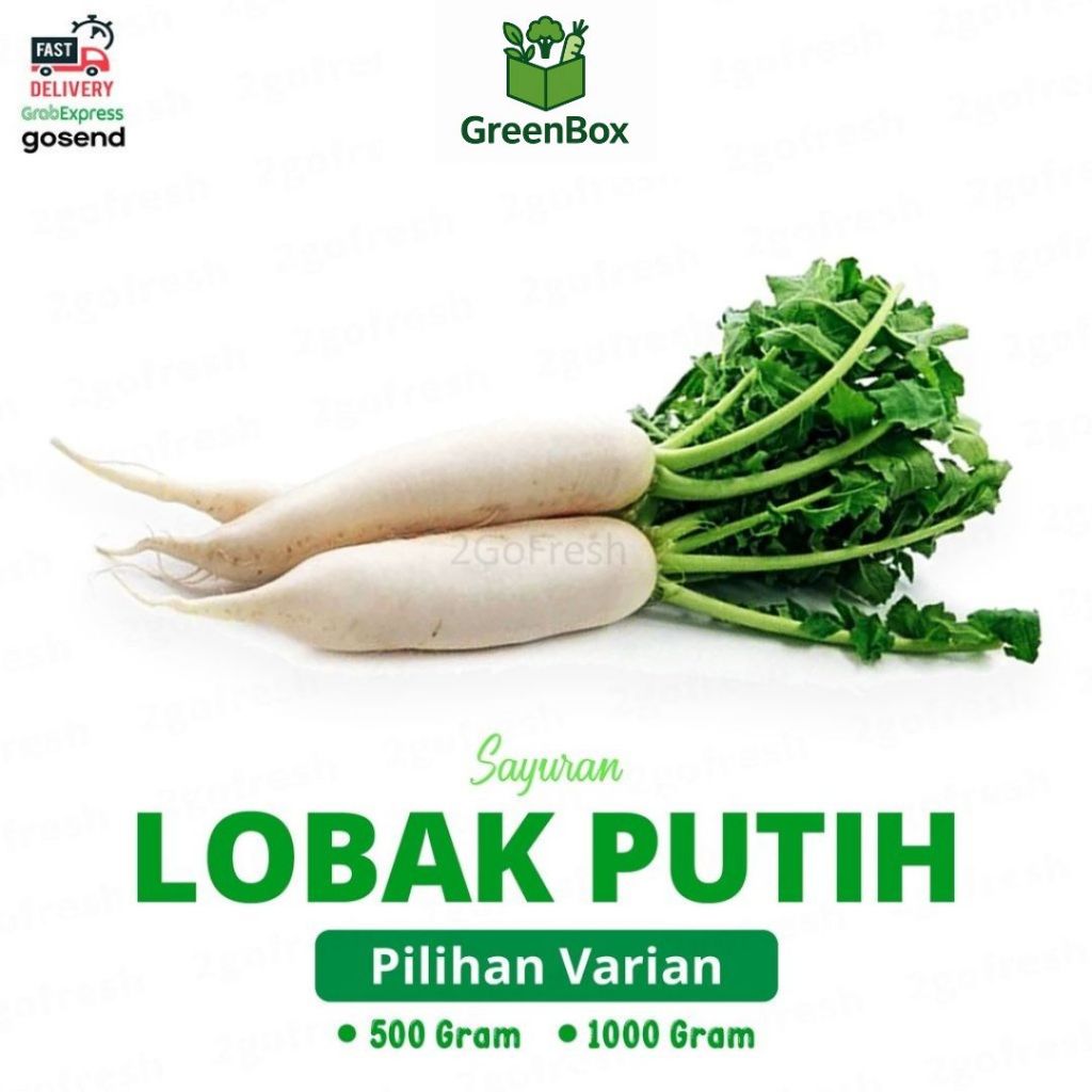 

Umbi Lobak Putih Fresh - Sayur Sayuran
