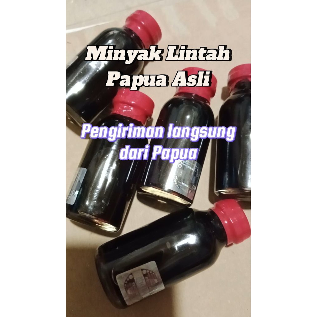 Minyak Lintah Asli Papua