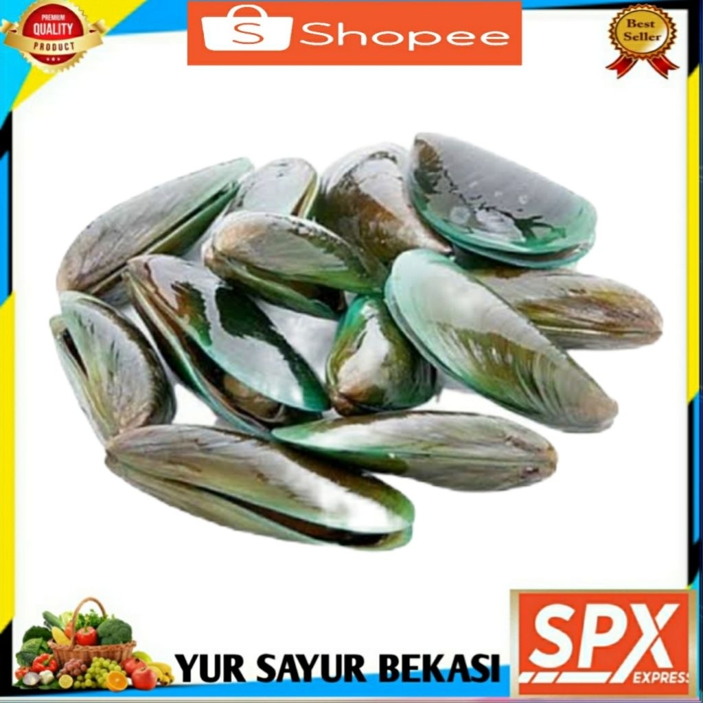 

Kerang Hijau Hidup 1kg.