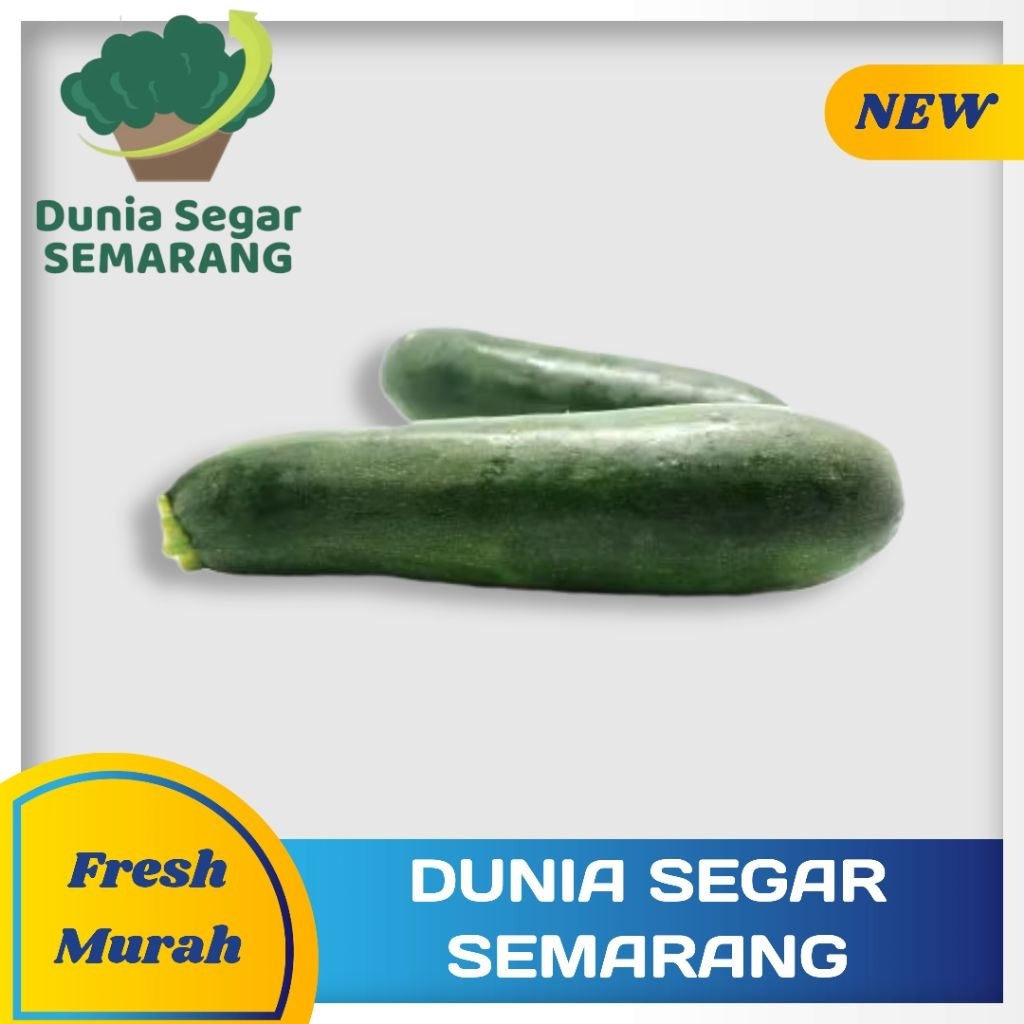 

Zuchinni Zukini 470 sd 520 gr
