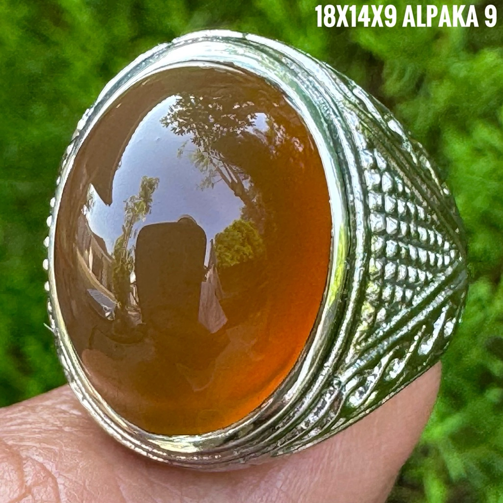 Cincin Batu Akik Natural Raflesia