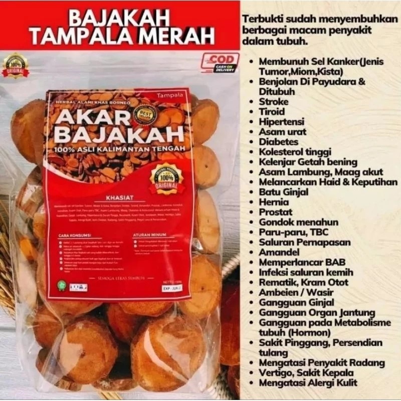 

Akar Bajakah Merah Isi (1KG) Herbal Tradisional Asli Kalimantan Original