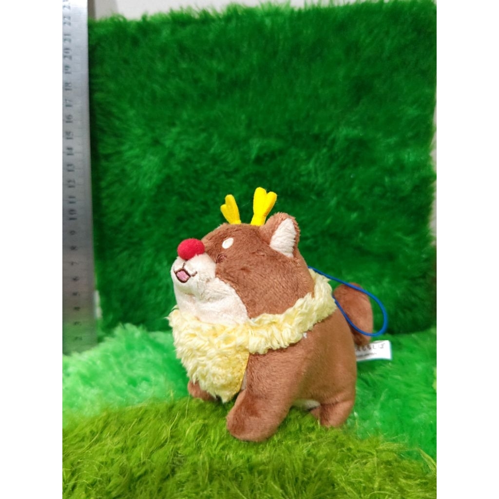 Shiba kostum Natal / Shiba SK Japan Original