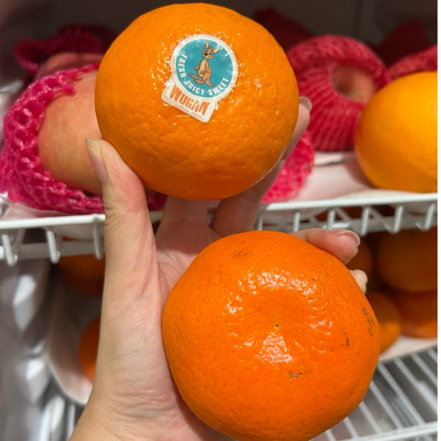 

Jeruk Wokam / Jeruk Wogan Mandarin