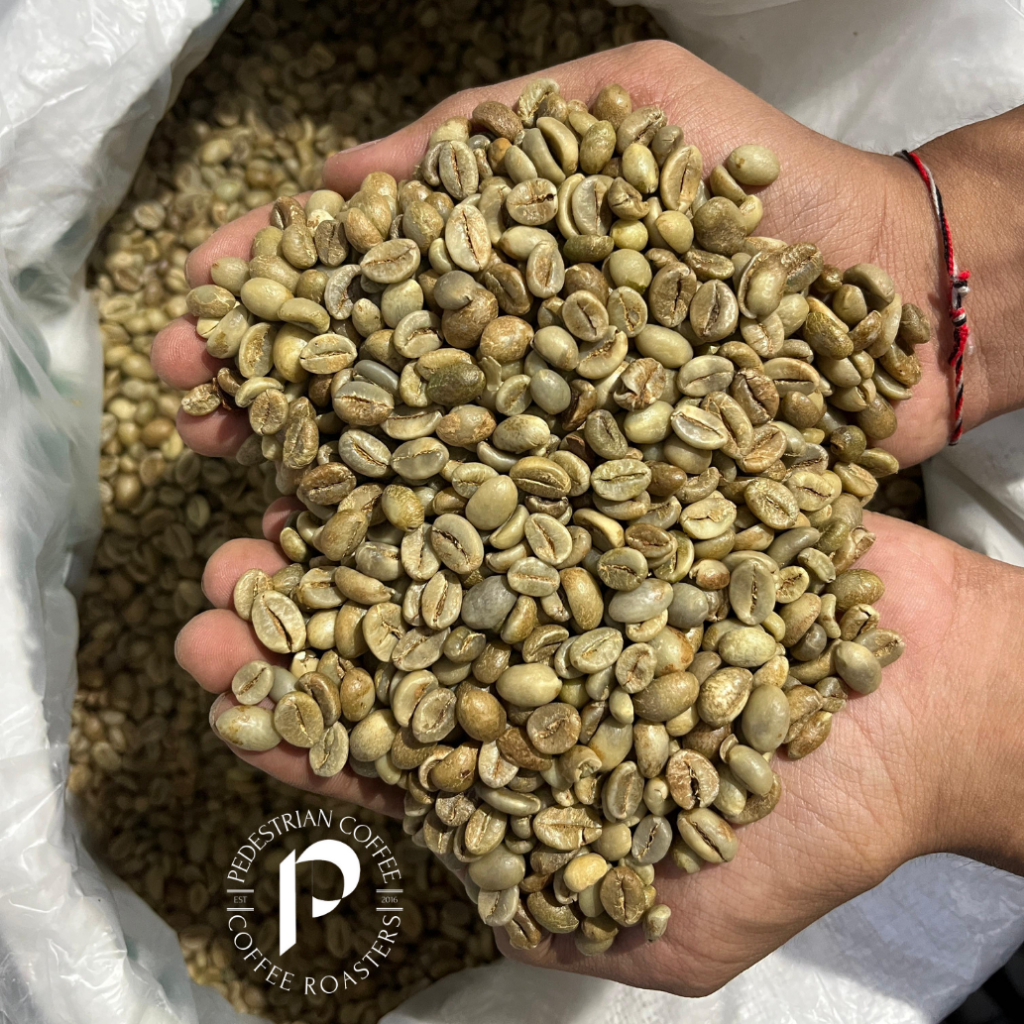 

Robusta Temanggung Grade 1 | Green Beans Coffee Robusta Temanggung Grade 1