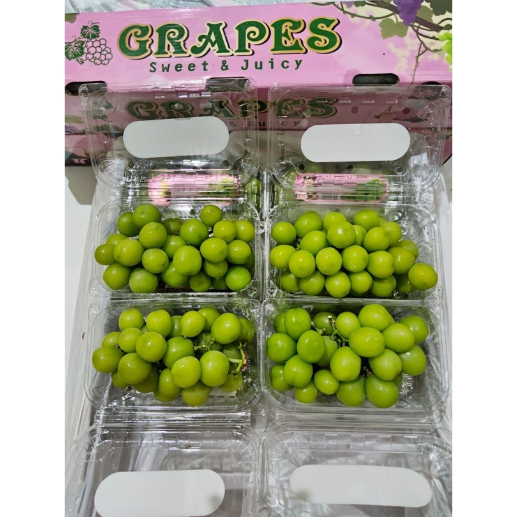 

Anggur shine muscat/pack