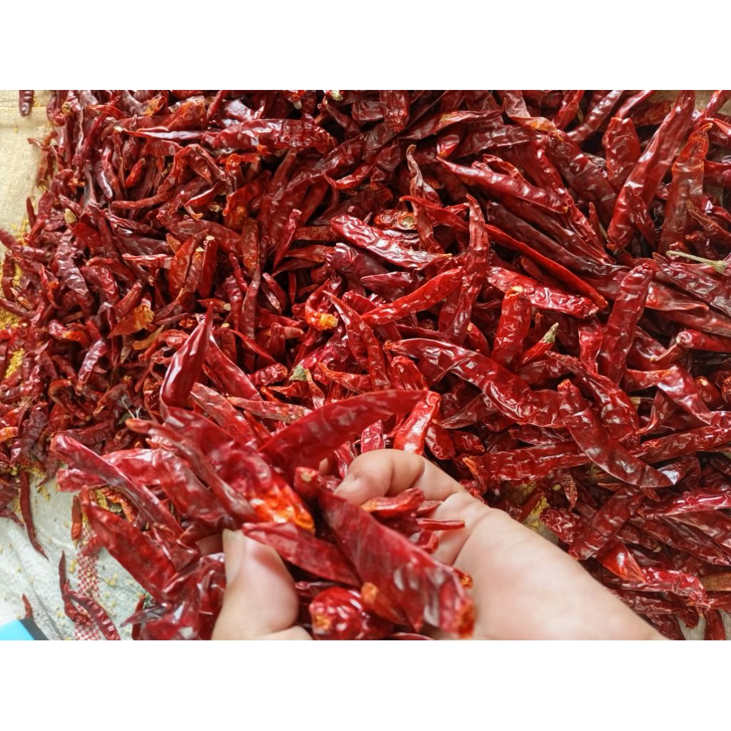 

Cabe Teja Kering 1 kg