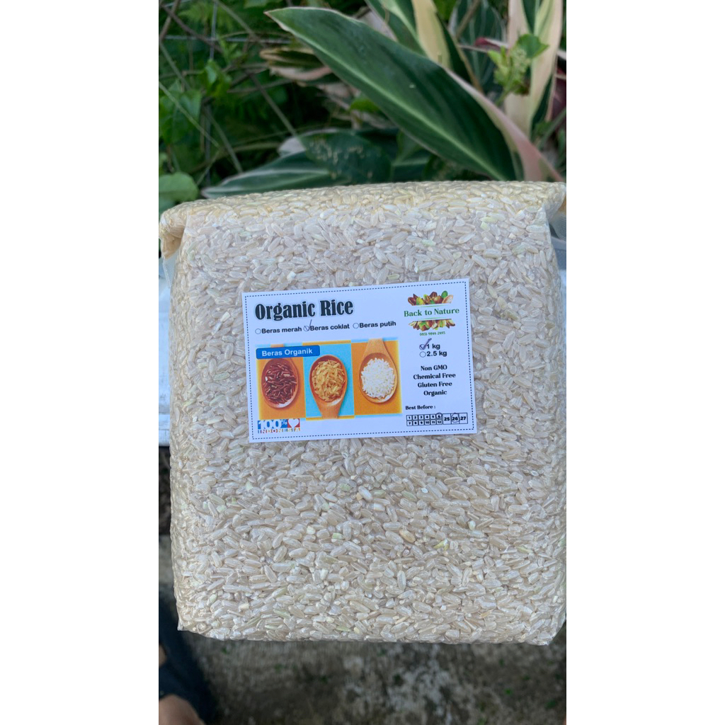 

beras cokelat organik pecah kulit 1kg