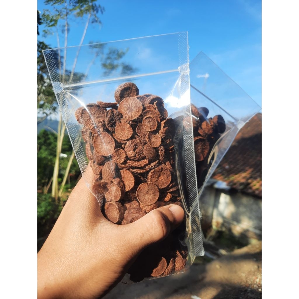 

Buah Pinang Kering 50gr | Bersih dan Segar