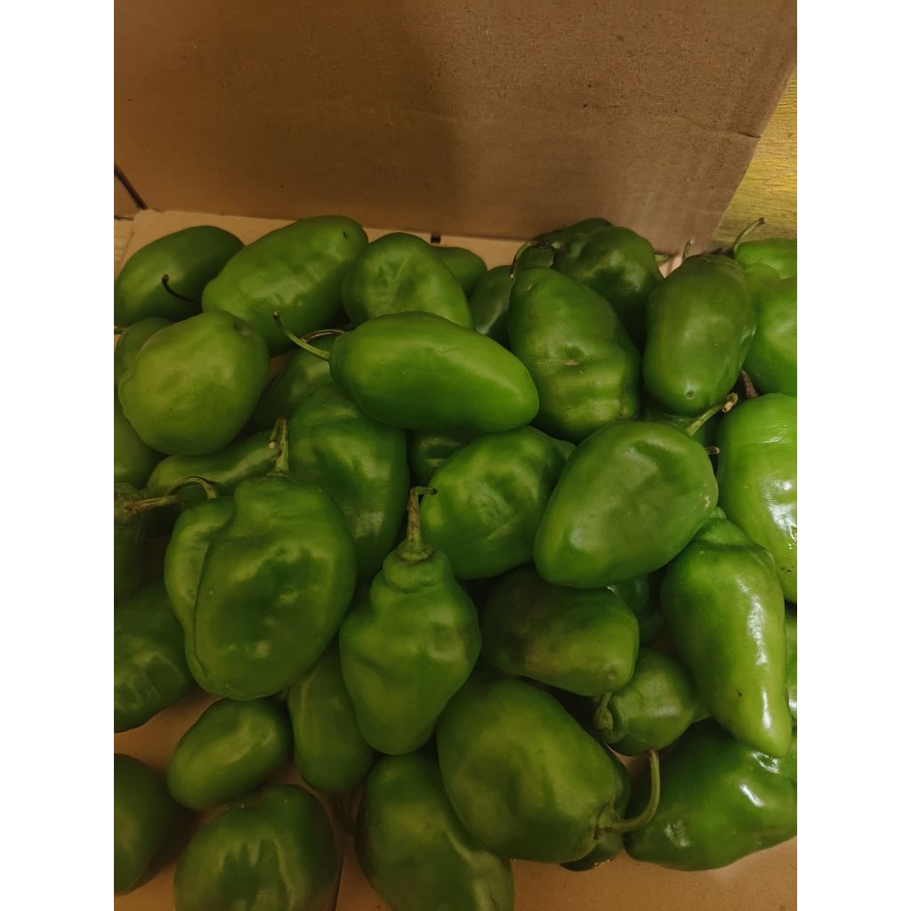 

Cabe Gendot/Gendut segar varian isi 250 gr