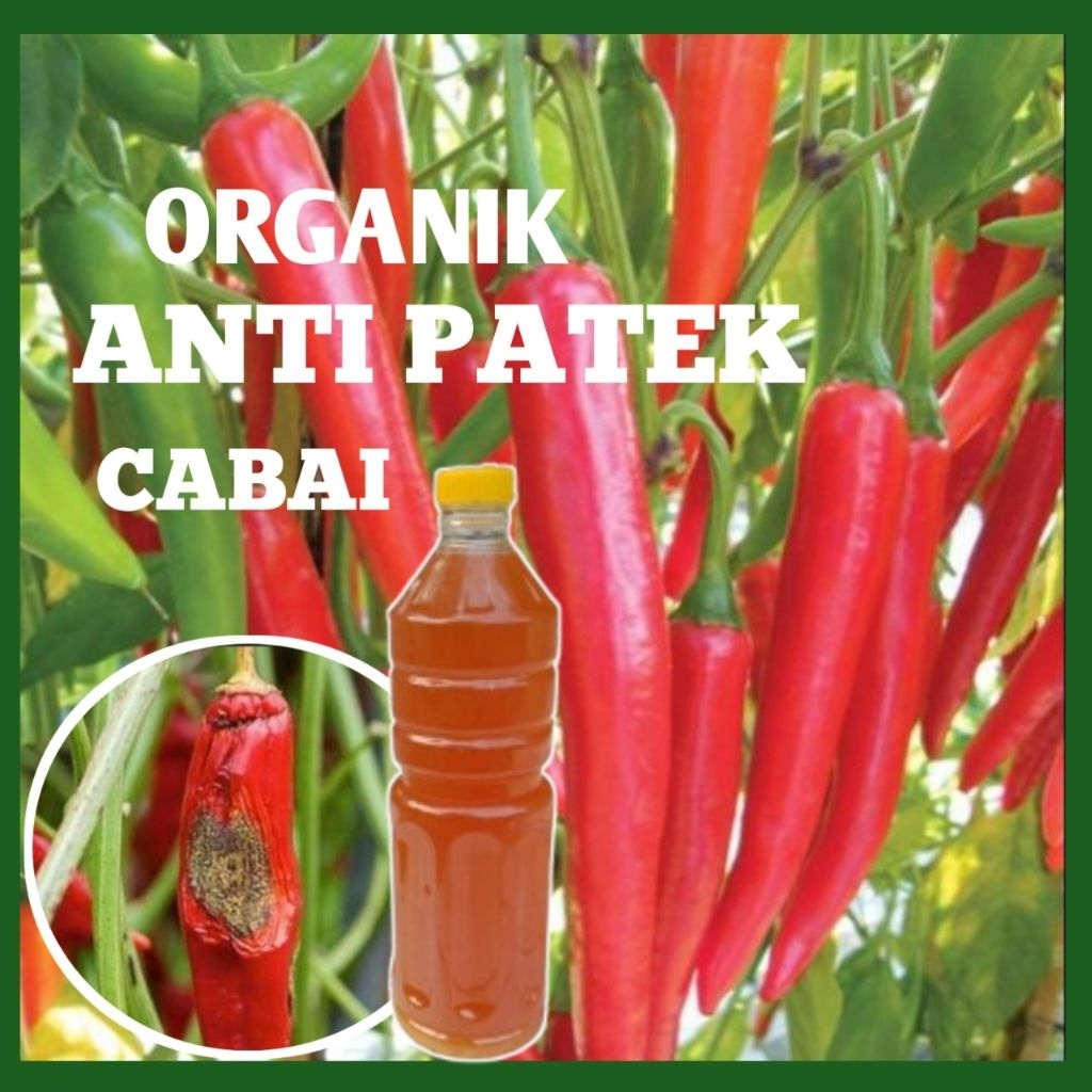 

Organik Anti Patek Cabai 1 Liter