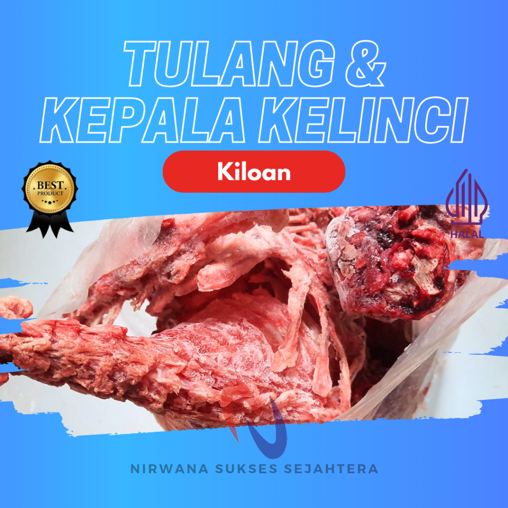 

TULANG DAN KEPALA KELINCI / RABBIT HEAD AND BONE