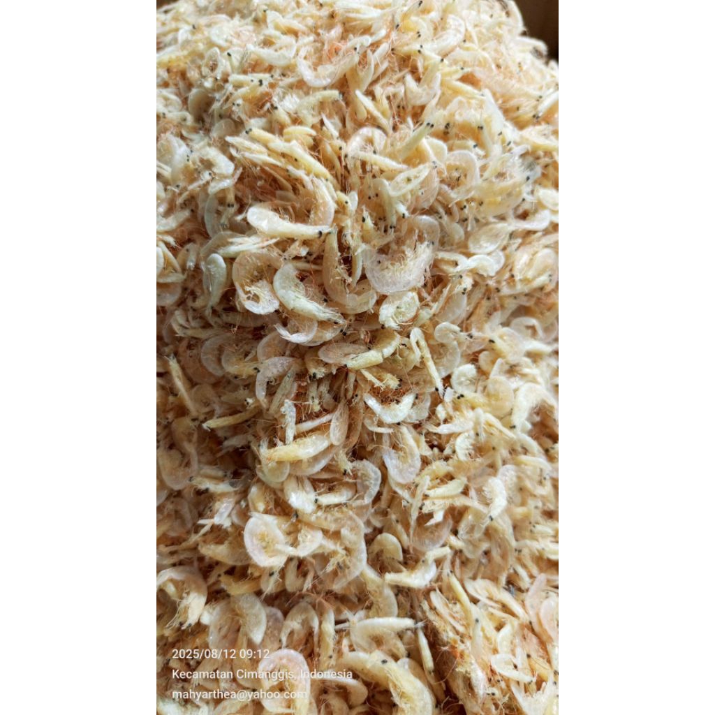 

star*ikan asin rebon jeruk