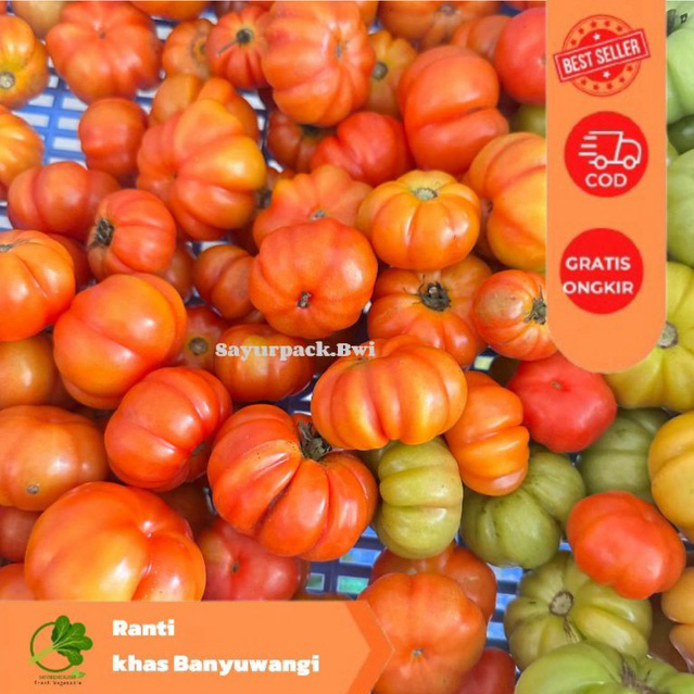 

Tomat ranti khas banyuwangi - Tomat sambel lalapan 500gram 1kg - sayurpack.bwi