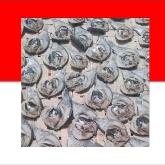 

1999.GRAM.PROMO.MERDEKA.IKAN.MUJAER.FRESS.PLUS.BONUS.IKAN.ASIN.LAIN