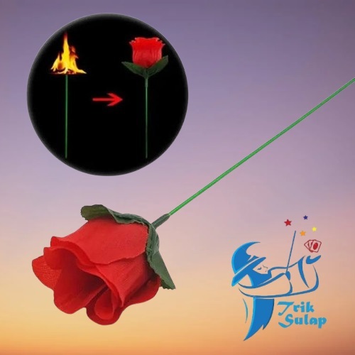 Alat Sulap Torch To Rose / Tongkat Api Jadi Bunga