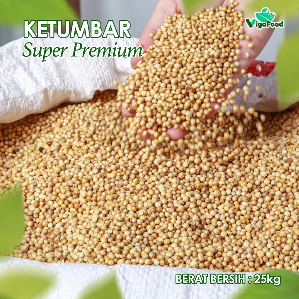 

BIJI KETUMBAR GRADE IMPORT BY VIGOFOOD / CORIANDER SEED / CORIANDER SEEDS KEMASAN 1 SAK KARUNG 25 KG