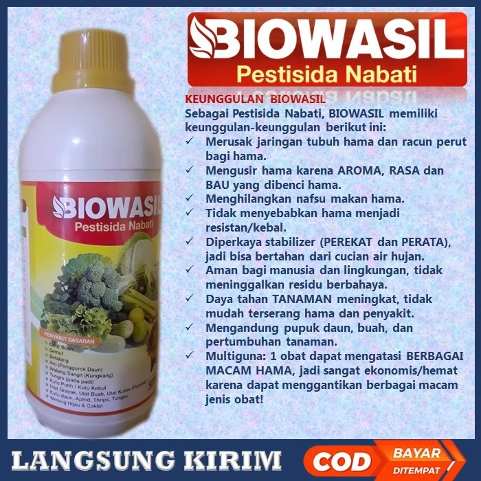 Biowasil insektisida Pestisida Organik Obat Hama Pembasmi Lalat Buah Pada jambu air,obat hama lalat 