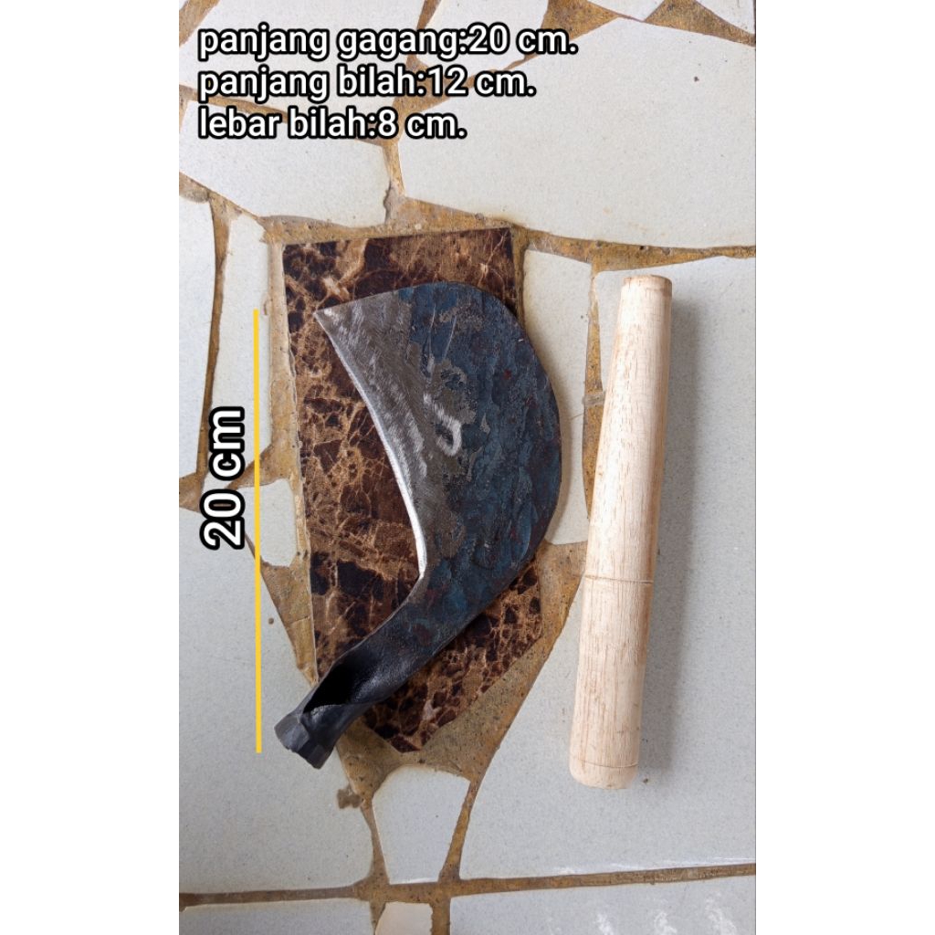 koredan rumput kebun