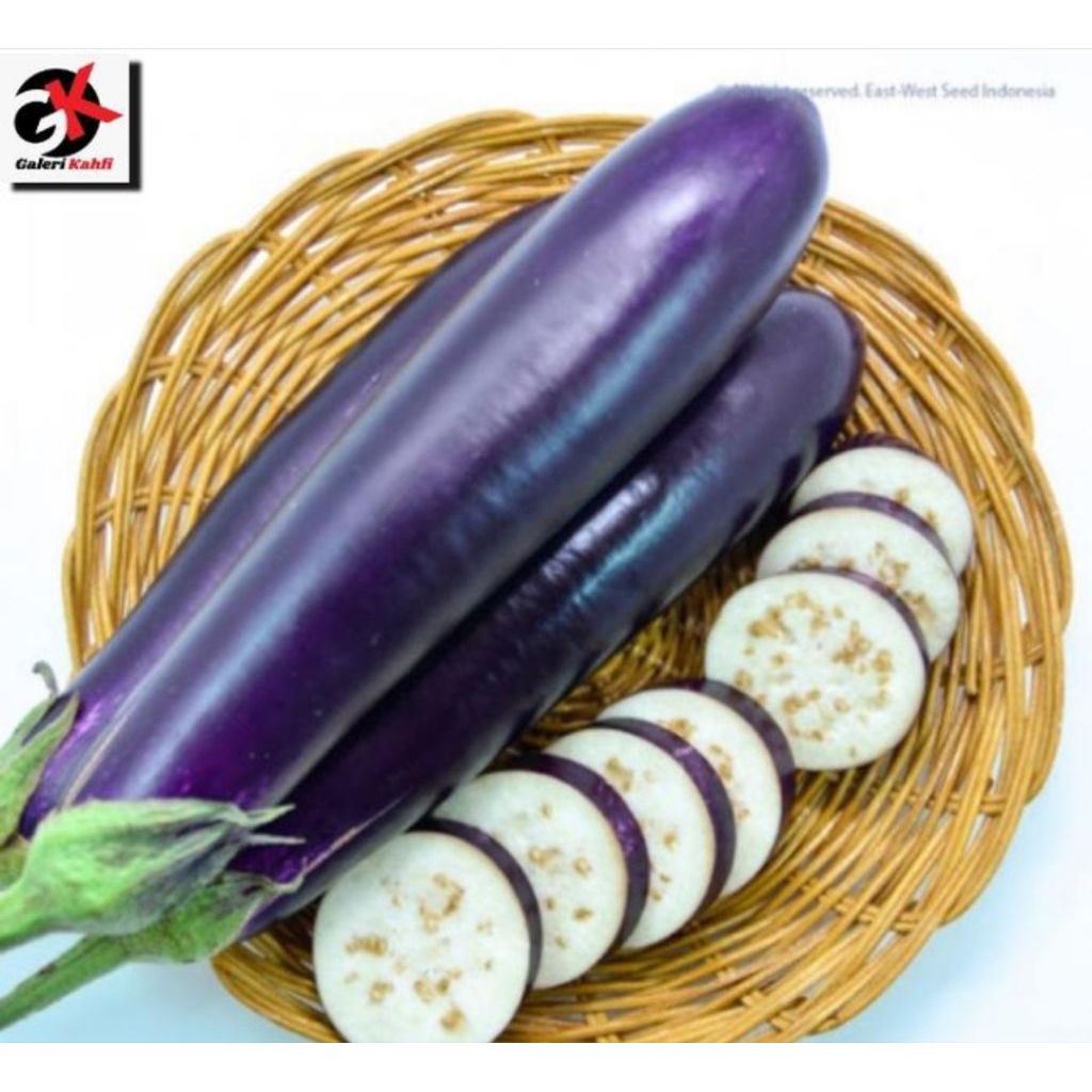 

Terong Ungu Segar Fresh Berkualitas - 500gr