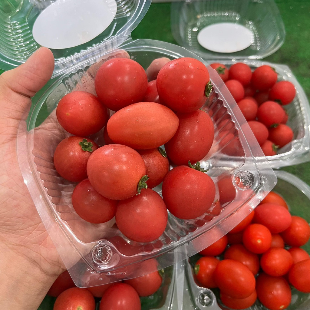 

TOMAT CERI HONEY TOMATO CHERRY FRESH