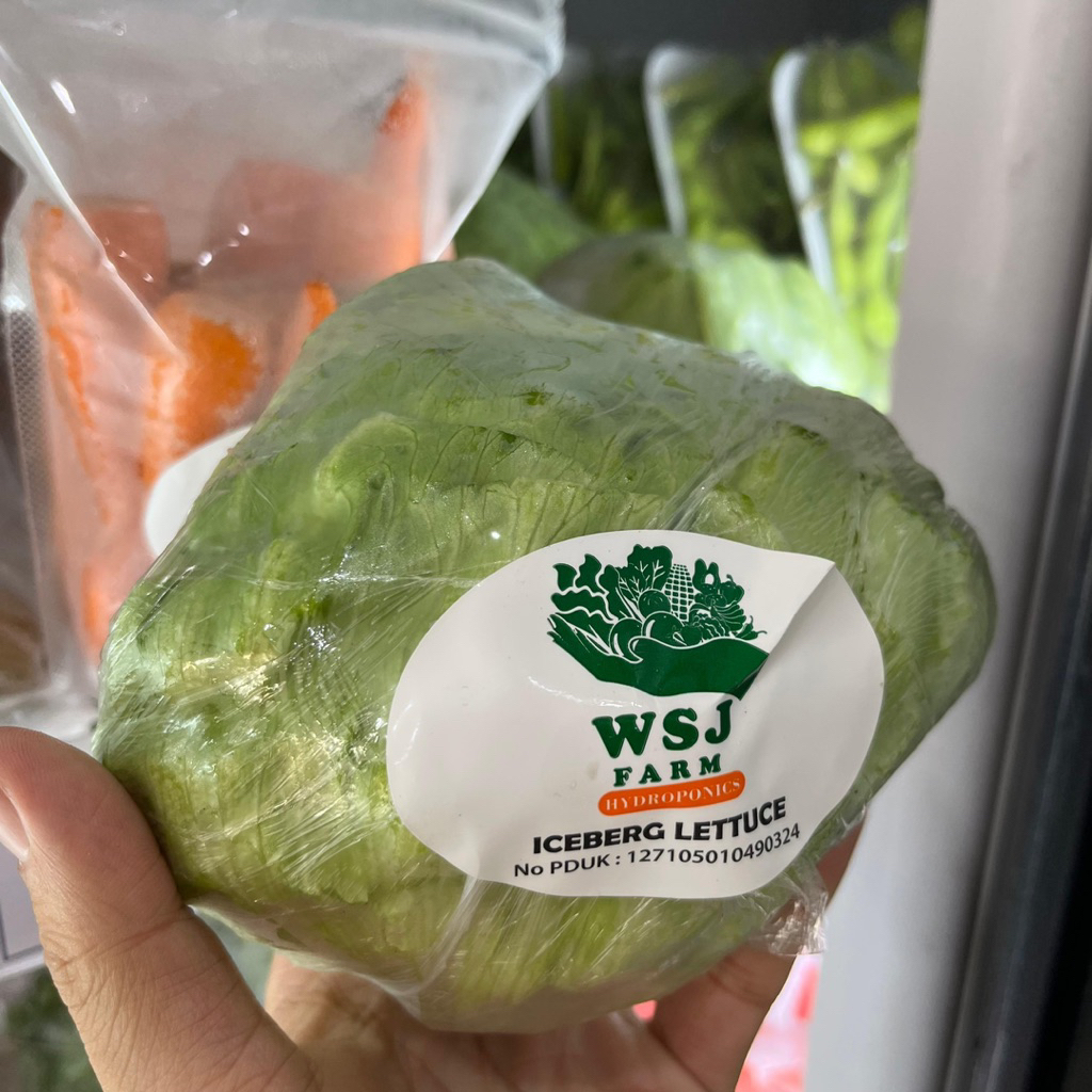 

SELADA ICEBERG LETTUCE SAYURAN HIDROPONIK ORGANIK SALAD
