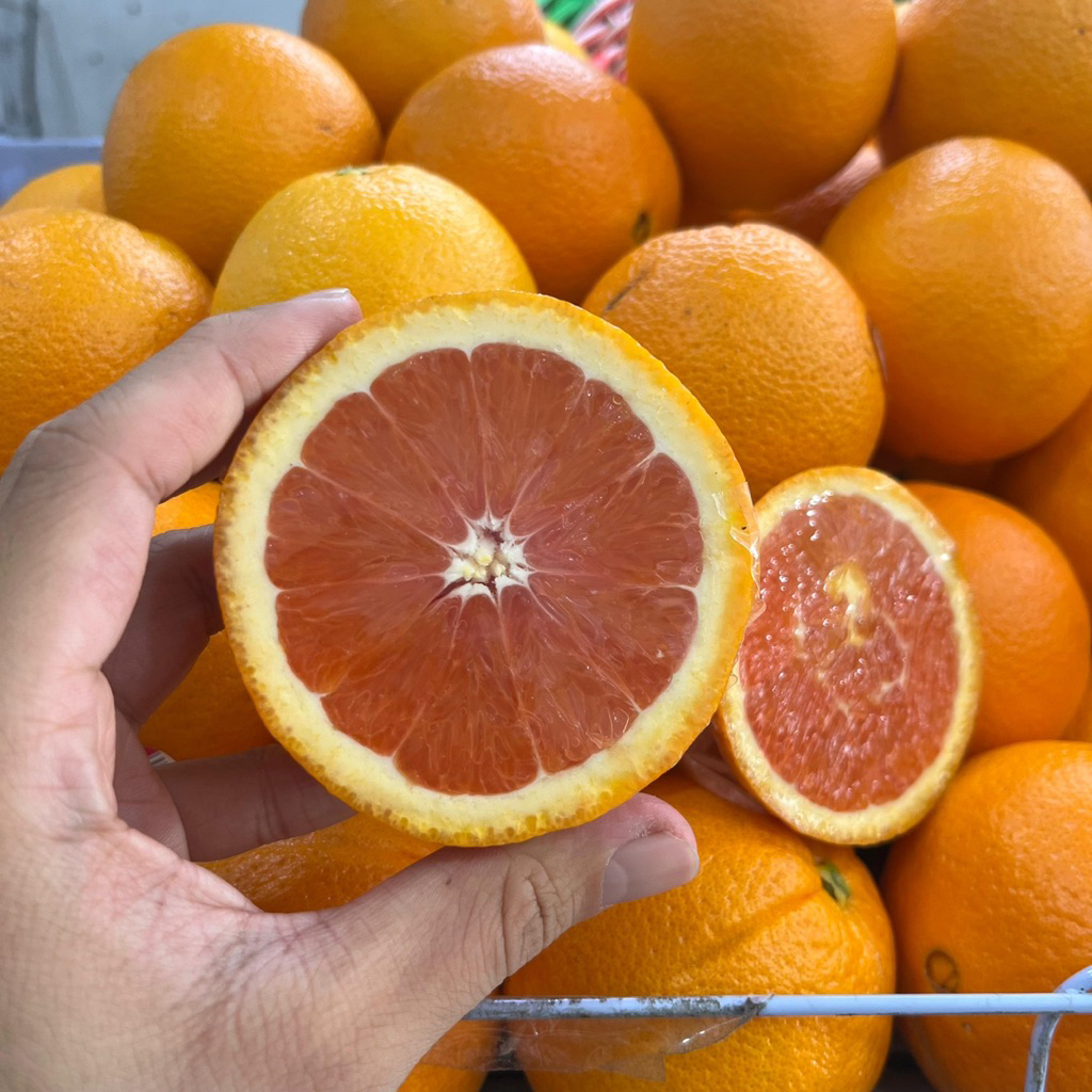

SUNKIS CARA DAGING MERAH AUSTRALIA MANIS ASEM CITRUS