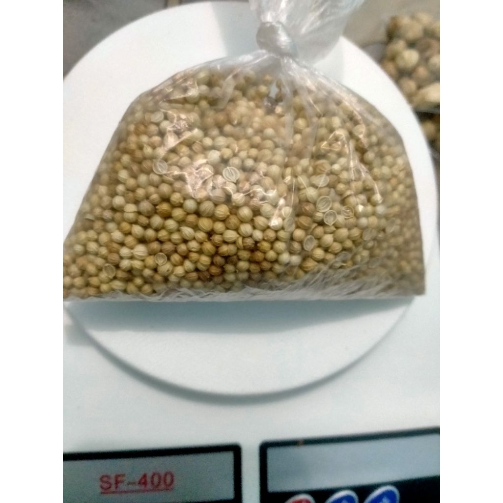 

ketumbar butir bumbu masakan