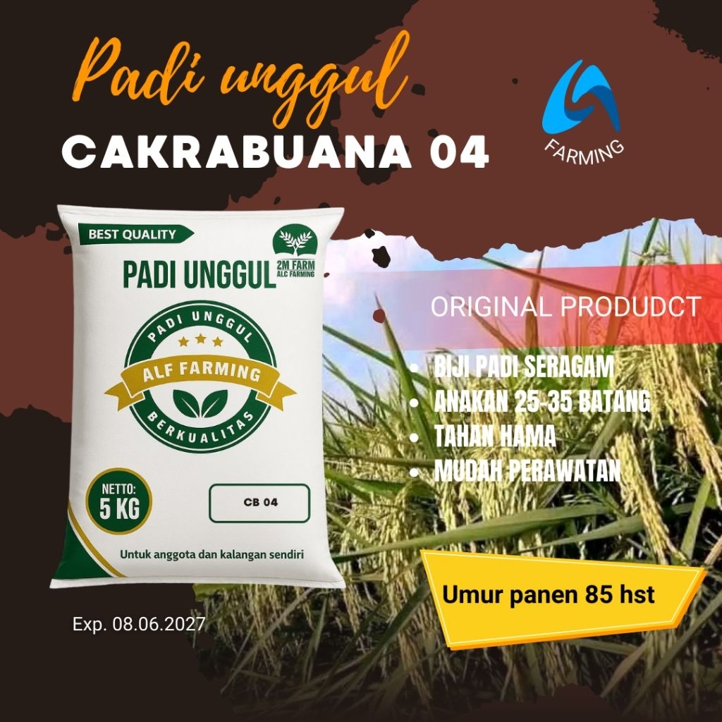 Padi CAKRABUANA 04 5 KG