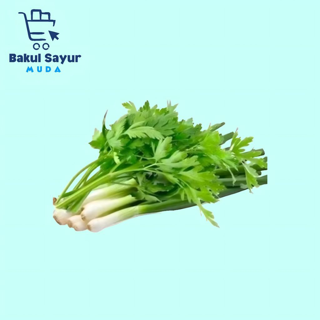 

Daun Bawang Daun Sledri Onclang 100 Gram