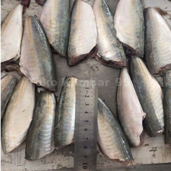 

Ikan Salem Layang Segar 1Kg Ikan Layang HGT