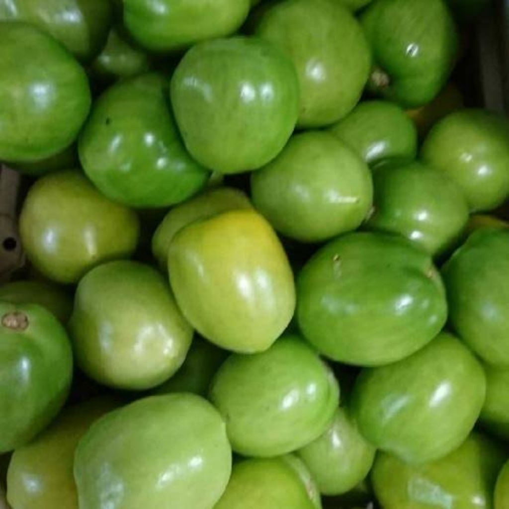 

tomat hijau fresh termurah 250 gr 500 gr 1 kg